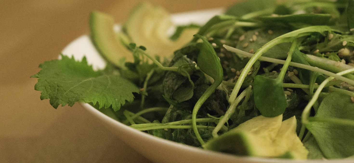 Pflück-Salate mit Zitronen-Sesam-Dressing