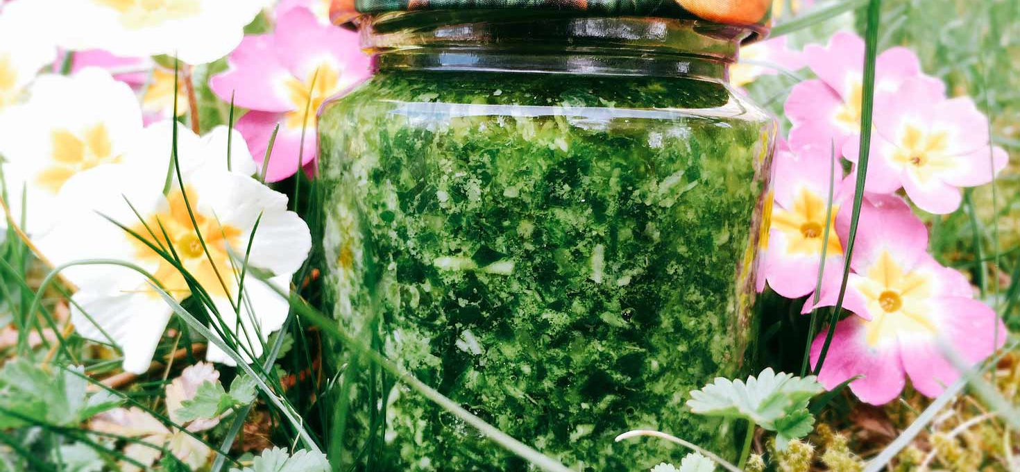 Bärlauch-Pesto